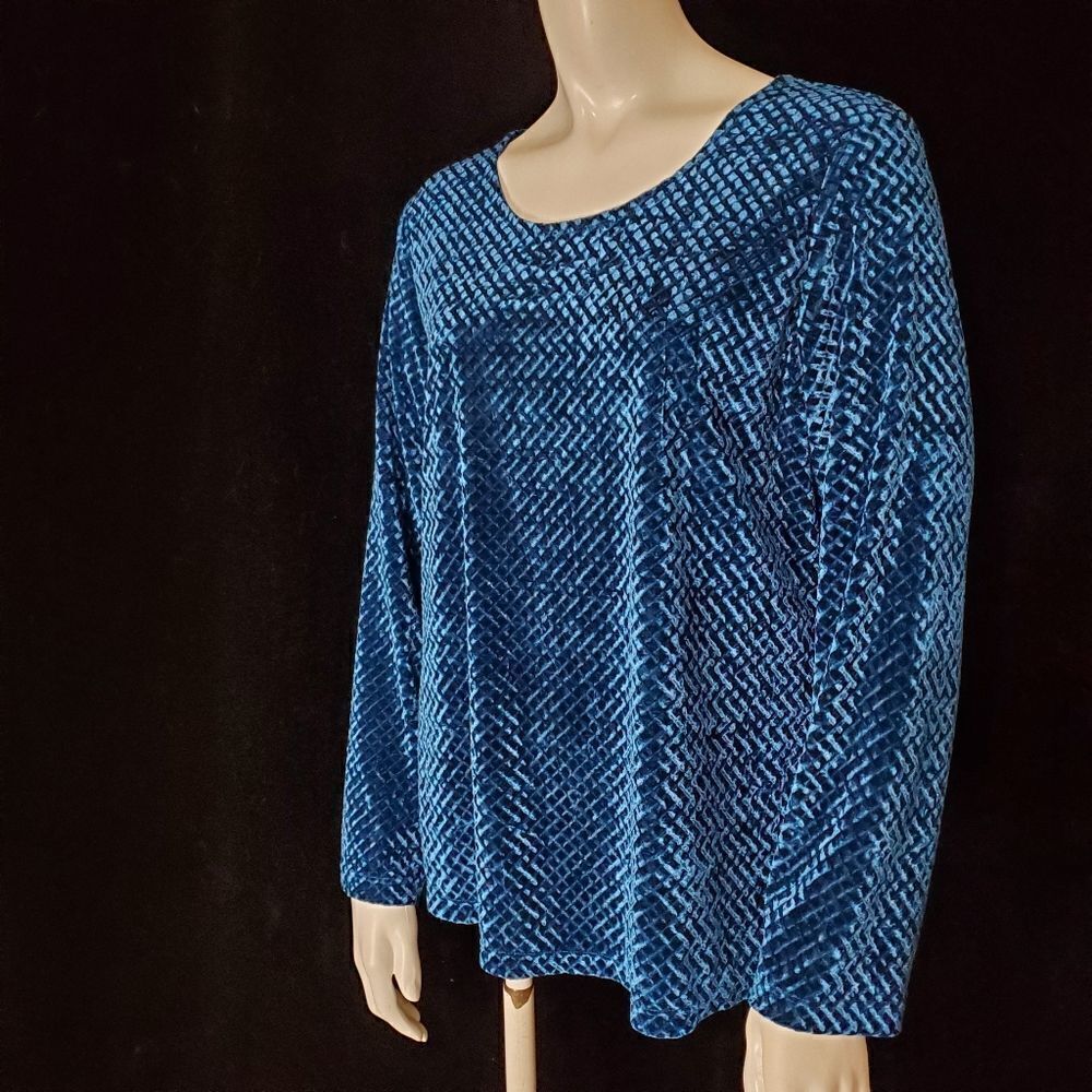 Notations Blue Velvet Patterned Long Sleeve Top (L)